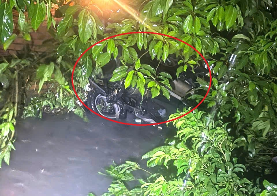 Chiếc ô tô bán tải bị vùi lấp trong bụi cây Chiếc ô tô bán tải bị vùi lấp trong bụi cây