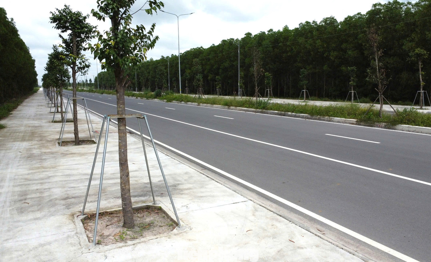 Tuyến đường có chiều dài gần 50km, vận tốc thiết kế 80 km/h với 6 làn xe, kết cấu mặt đường bê tông nhựa nóng. Tổng kinh phí đầu tư dự án hơn 3.800 tỷ đồng.