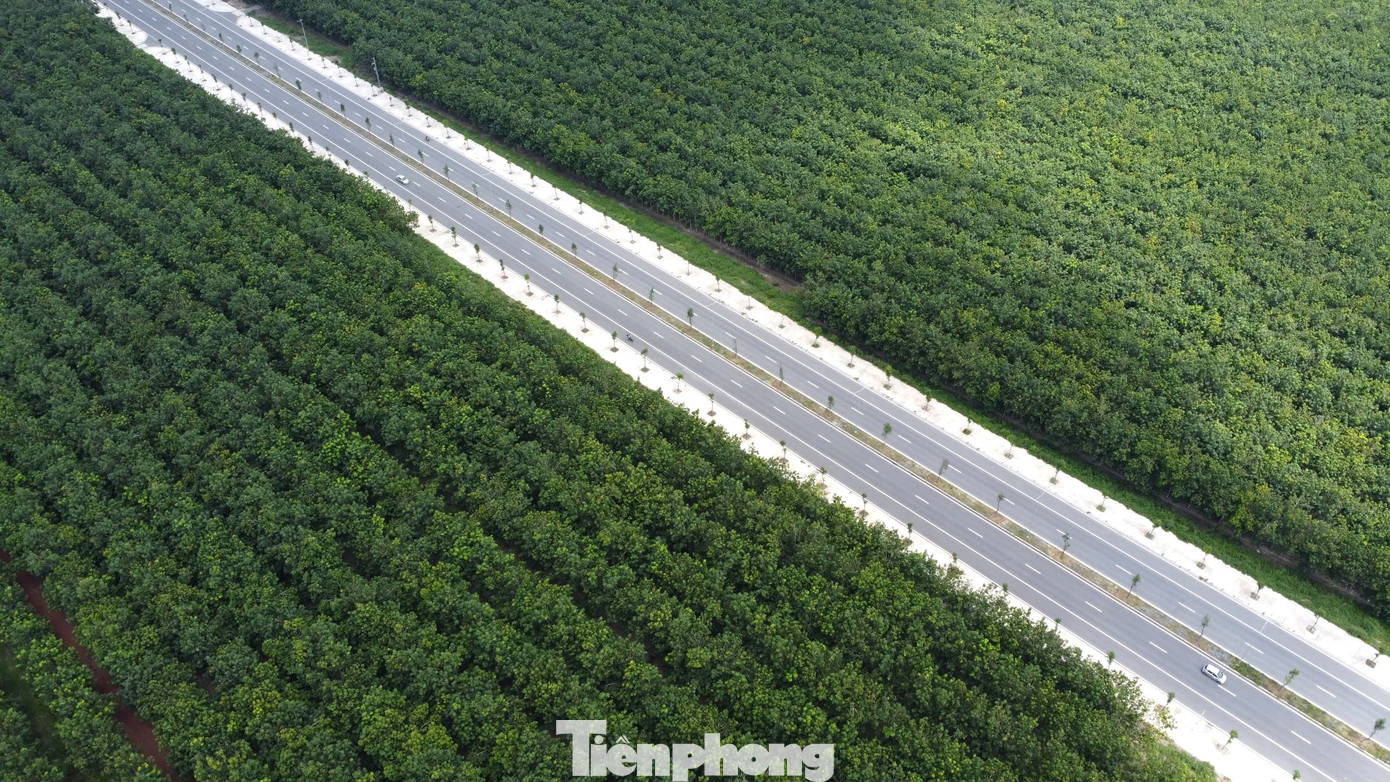 Đoạn đường từ ngã ba Tam Lập đến Bàu Bàng do UBND huyện Phú Giáo làm chủ đầu tư dài khoảng 18km