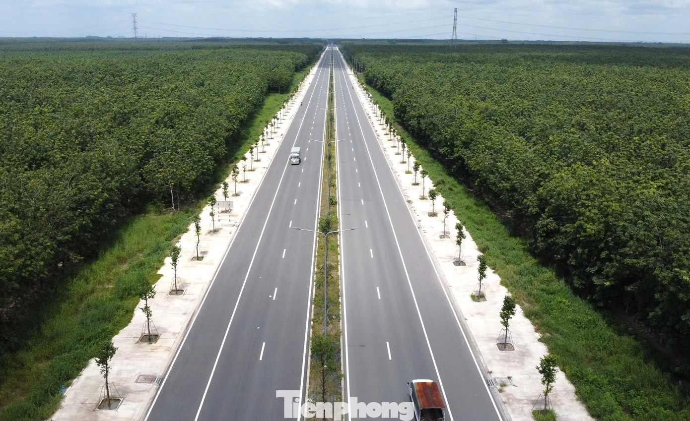 Hai bên đường tạo lực Bắc Tân Uyên - Phú Giáo - Bàu Bàng bạt ngàn cao su Hai bên đường tạo lực Bắc Tân Uyên - Phú Giáo - Bàu Bàng bạt ngàn cao su