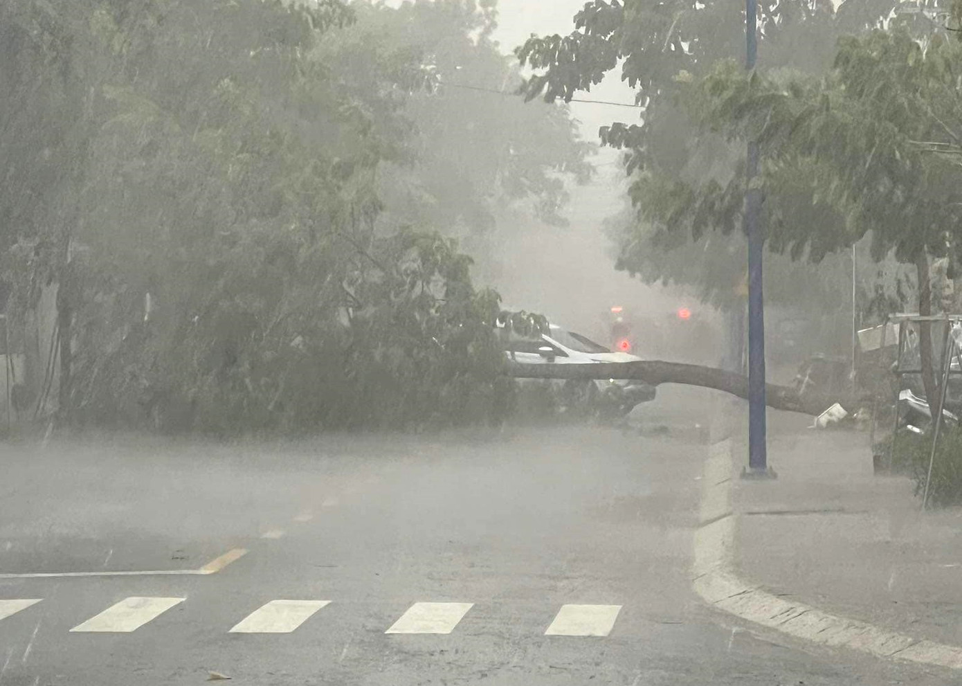 Cơn mưa lớn vào chiều 4/9 khiến nhiều cây xanh trên đường phố Thủ Dầu Một (Bình Dương) bật gốc, gãy đổ Cơn mưa lớn vào chiều 4/9 khiến nhiều cây xanh trên đường phố Thủ Dầu Một (Bình Dương) bật gốc, gãy đổ