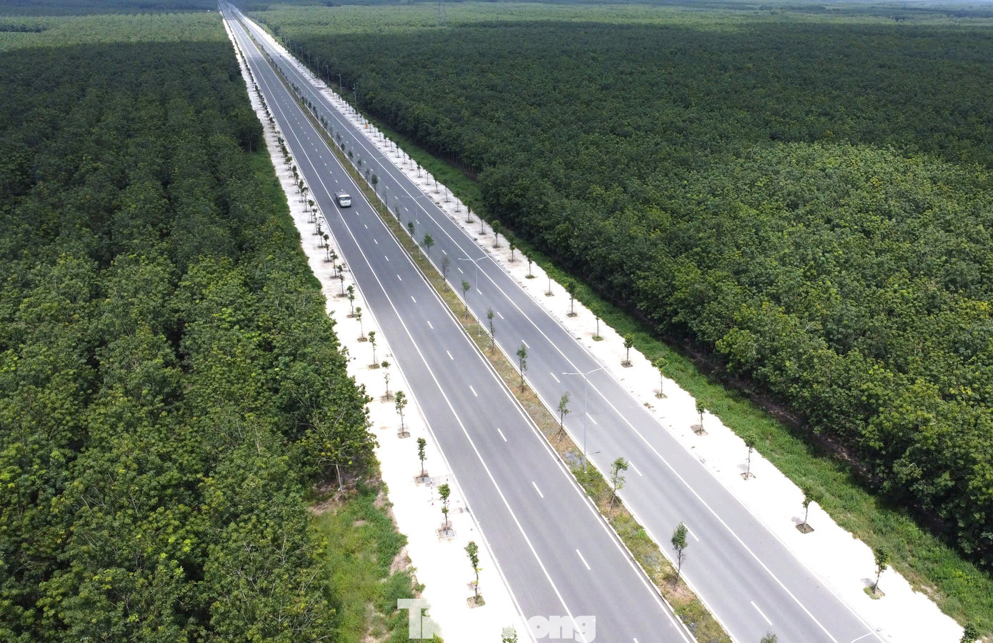Tuyến đường trở nên thơ mộng nhờ hai bên là bạt ngàn cây cao su.