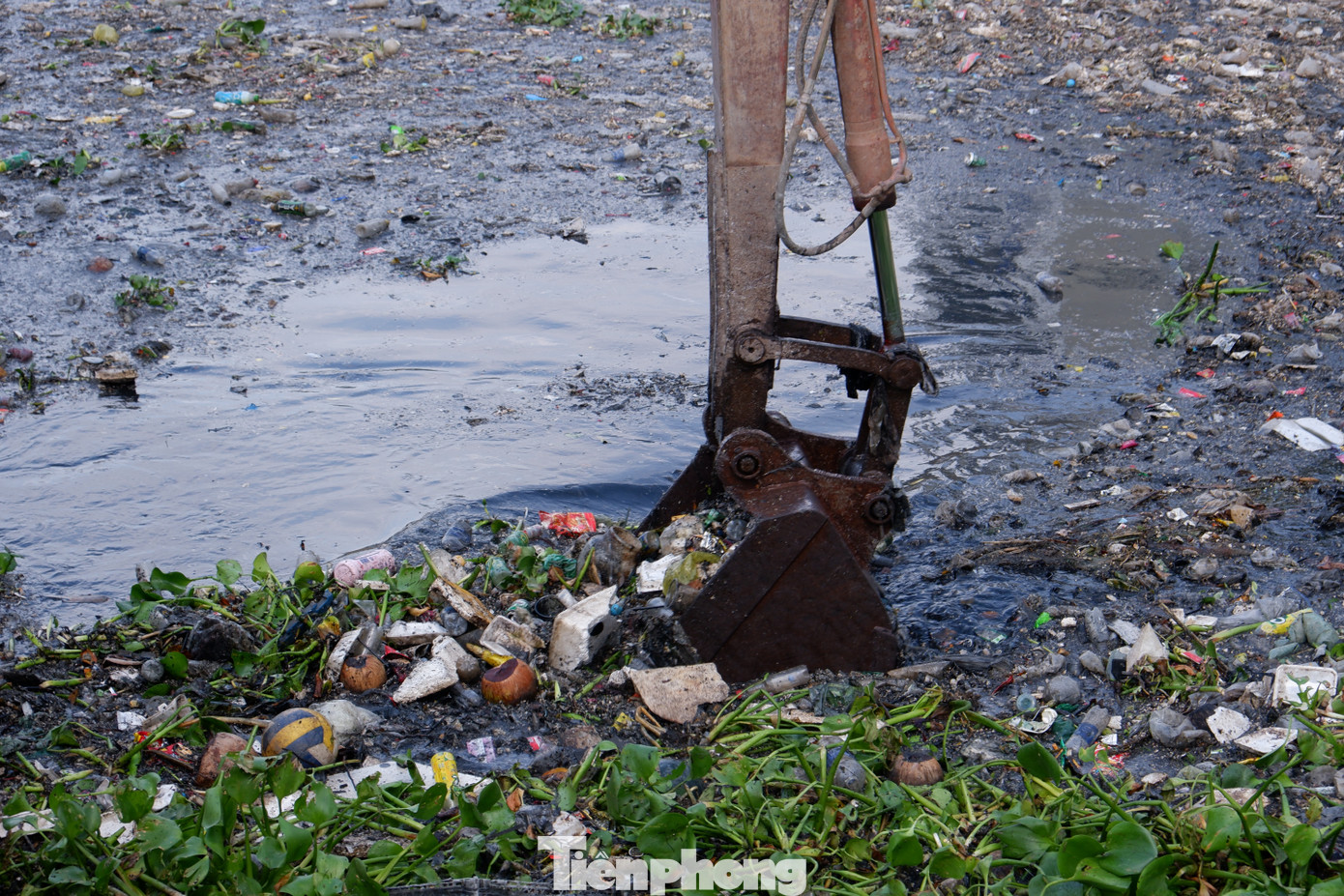 Công nhân sẽ điều khiển gàu múc để vớt rác. Công nhân sẽ điều khiển gàu múc để vớt rác.