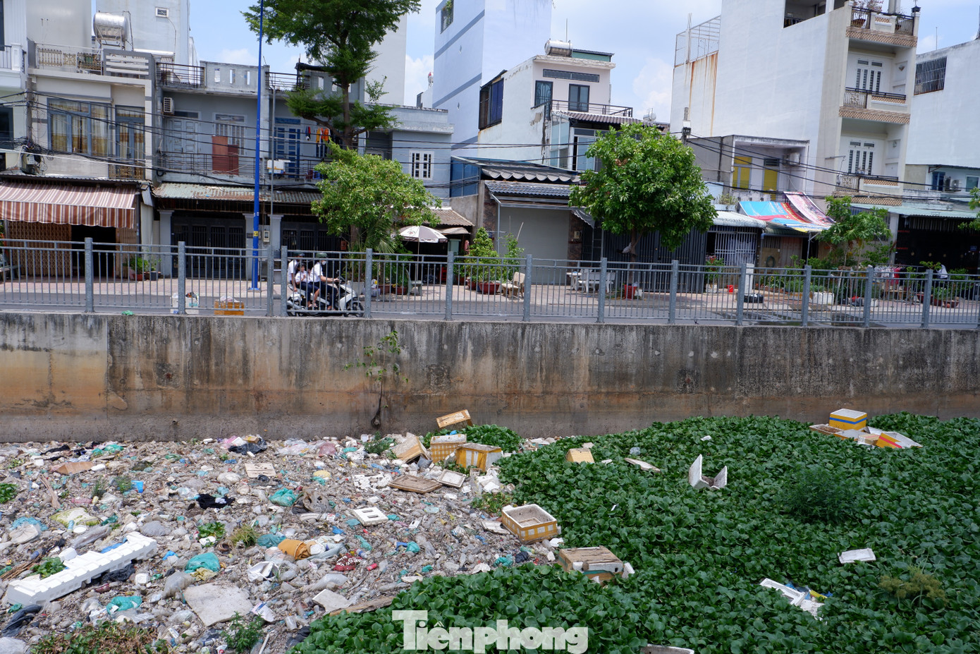 Rác thải lẫn với cây lục bình ken đặc ở khu vực dòng kênh.