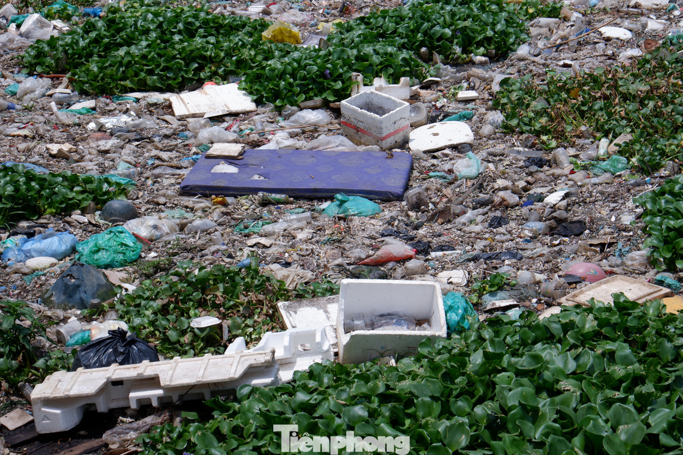 Đủ loại rác thải dồn về khu vực điểm giao giữa kênh Nước Đen với kênh Tham Lương.