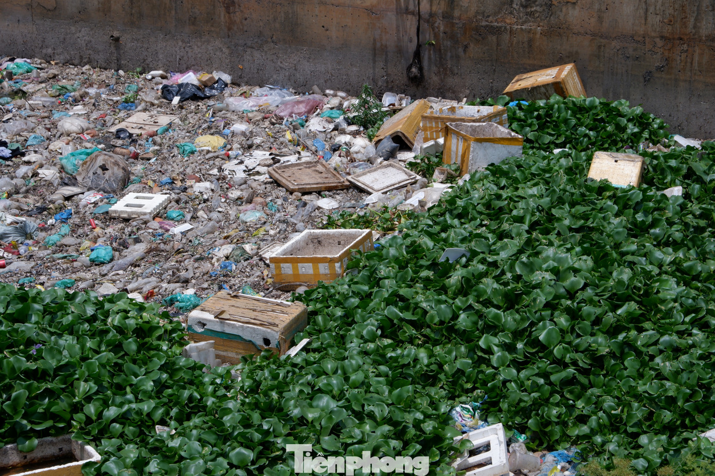 Đủ loại rác thải dồn về khu vực điểm giao giữa kênh Nước Đen với kênh Tham Lương.