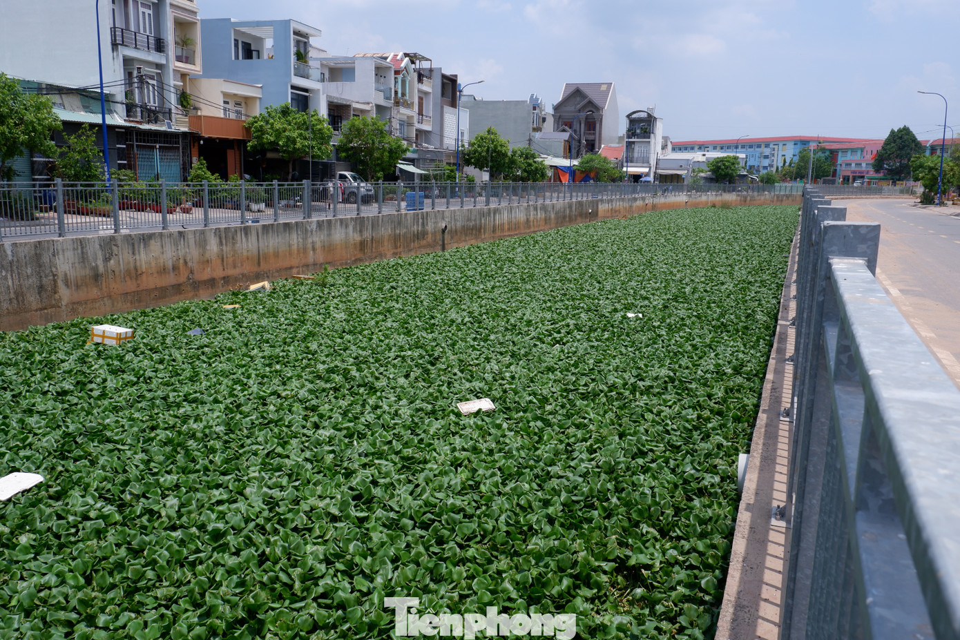 Chính vì vậy, khu vực kênh Nước Đen bị dồn ứ, cây lục bình phát triển nhanh chóng ở khu vực, thêm vào đó, lượng rác thải do một số người không có ý thức vứt xuống cống hoặc bỏ trực tiếp xuống kênh càng khiến khu vực trở nên ô nhiễm hơn.