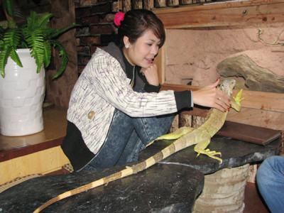 Chơi với rồng Ảnh:N.H