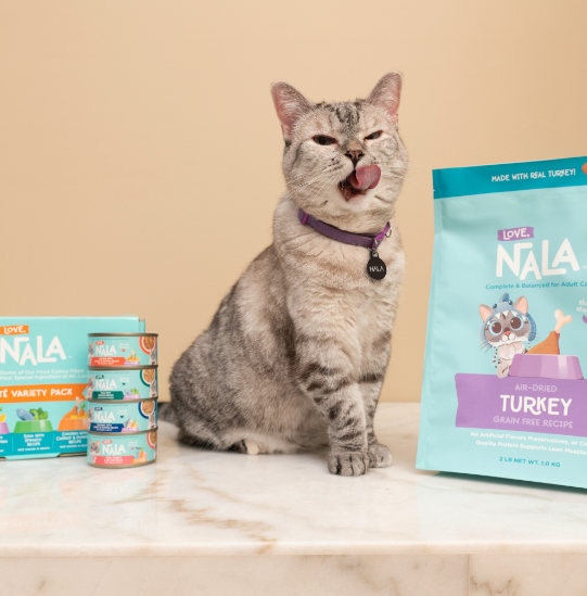 Nala và thương hiệu đồ ăn cho mèo của cô nàng.