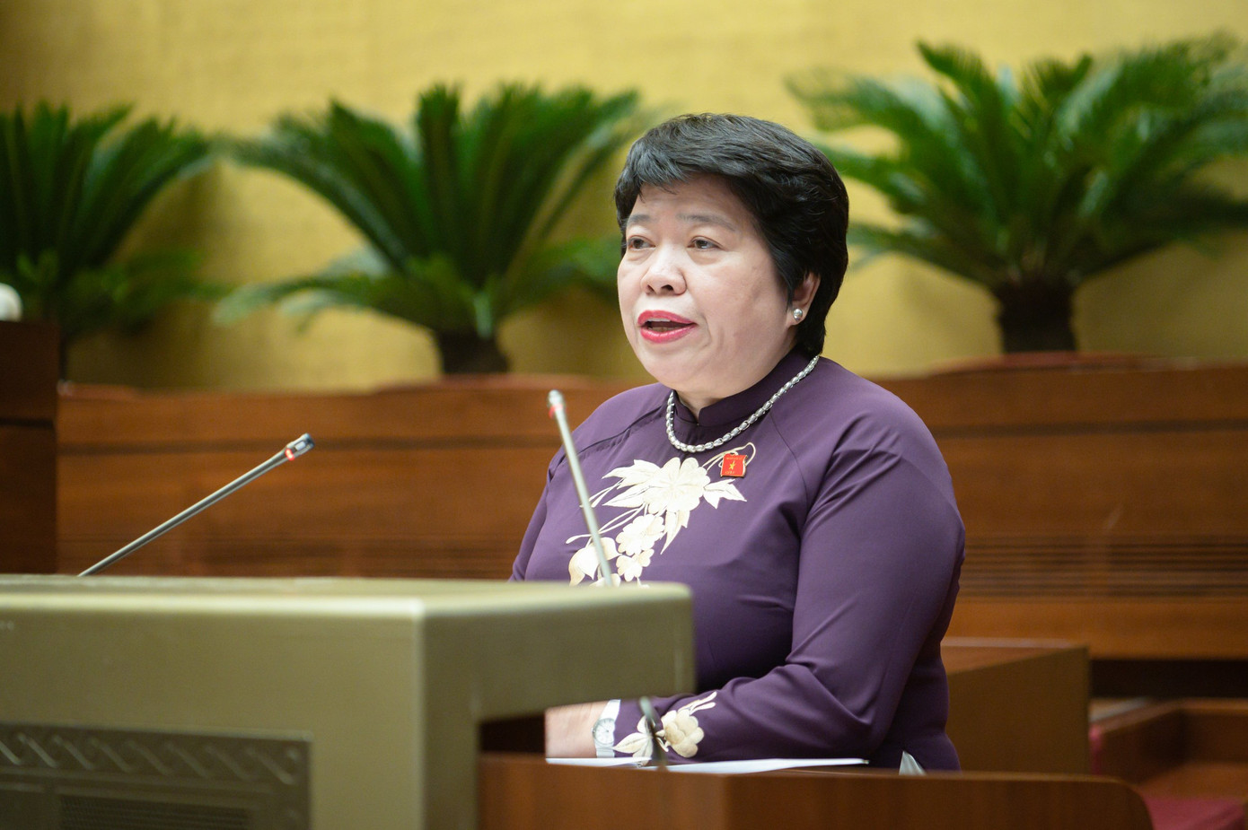 Chủ nhiệm Uỷ ban Xã hội Nguyễn Thuý Anh. Ảnh: Như Ý Chủ nhiệm Uỷ ban Xã hội Nguyễn Thuý Anh. Ảnh: Như Ý