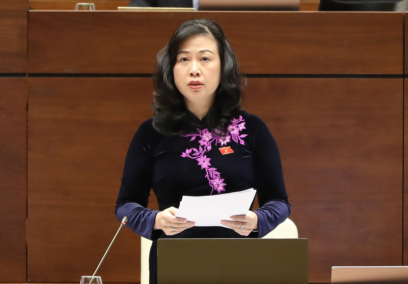 Bộ trưởng Bộ Y tế Đào Hồng Lan. Ảnh Quang Vinh Bộ trưởng Bộ Y tế Đào Hồng Lan. Ảnh Quang Vinh