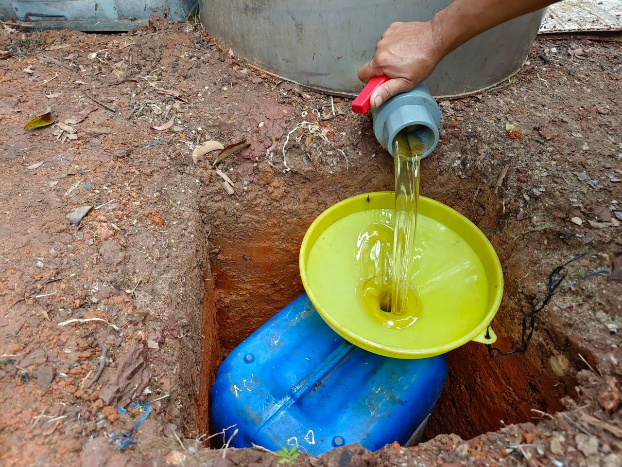 Từ máy quay li tâm, từng dòng mật vàng óng, sánh mịn, thơm lừng chảy đầy các can. Với 300 thùng ong, mẻ quay mật này anh Cường thu về hơn một tấn mật. Nhìn những can mật được xếp gọn gàng chờ khách lấy đi, anh Cường nhẩm tính: Với giá bán trung bình từ 45.000 – 50.000 đồng/kg mật, trừ tiền thuê công nhân, anh bỏ túi hơn 50 triệu đồng.