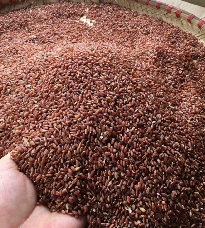 Vài năm trở lại đây, thứ gạo Lứt đỏ cấy trên vùng đồi Điện Biên cũng là nguyên liệu quan trọng, cho ra sản phẩm mỳ gạo Lứt. Thứ mỳ này hợp với người muốn giảm béo hay bị tiểu đường ăn kiêng. Tuy khó làm hơn mỳ trắng thông thường, nhưng với đôi bàn tay khéo léo, sự kiên trì và nhẫn nại của người thợ, sản phẩm mỳ gạo Lứt hoàn thiện, có chỗ đứng vững chắc trên thị trường.