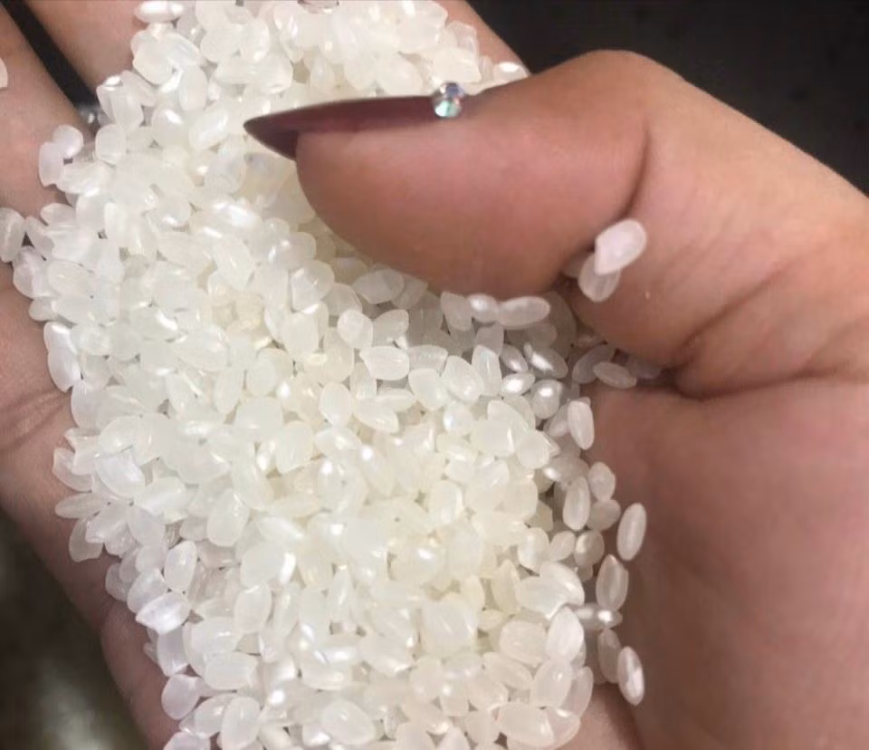 Như "ngọc càng mài càng sáng", sợi mỳ chũ cũng phải trải qua một quy trình khắt khe cùng đôi bàn tay khéo léo của người thợ làm mỳ. Mỳ chũ kén gạo. Ngoài gạo Bao Thai thơm ngon được cấy trên vùng đồi Lục Ngạn thì chỉ có những hạt gạo trắng trong, căng tròn của quê lúa Thái Bình mới được dùng làm nguyên liệu làm mỳ.