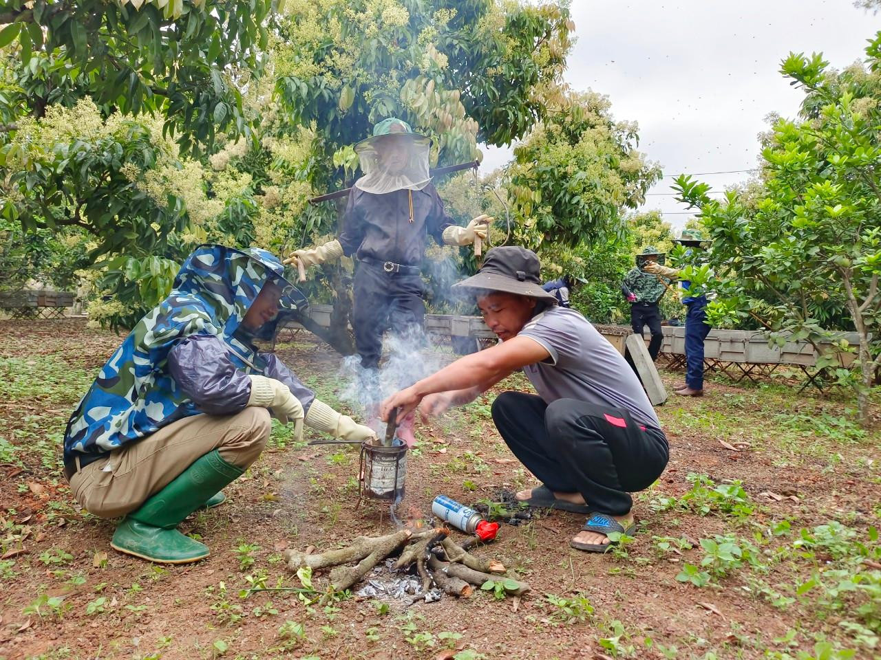 Anh Cường phải thuê nhân công địa phương phụ việc thu mật với giá 6.000 đồng/thùng. Trong ảnh, công nhân chuẩn bị ống khói để xua đuổi bớt ong, hạn chế bị ong đốt.