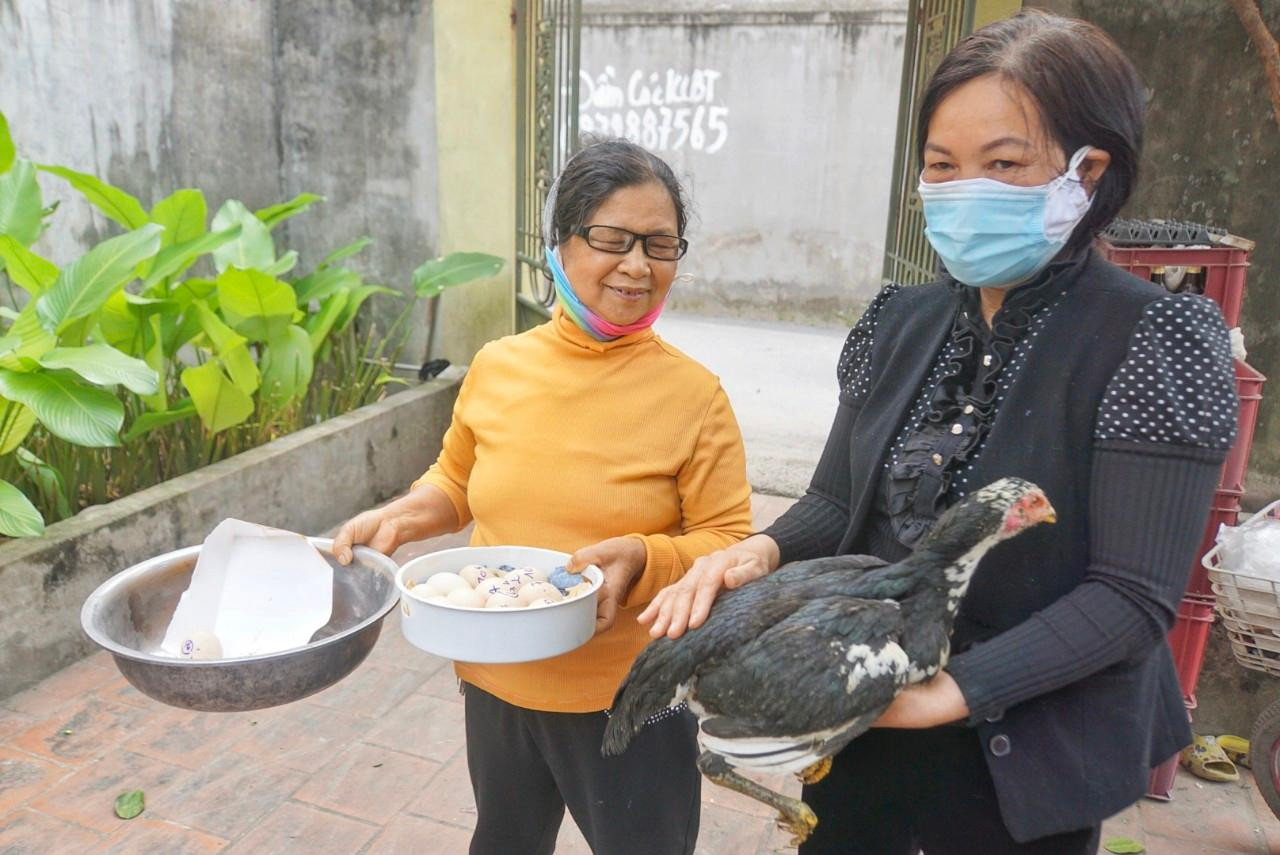 Bà Phan Thị Lưu (bên trái), người cùng xóm nuôi gà đẻ trứng nhiều năm. Bà từng nuôi rất nhiều giống gà khác nhau, từ gà mía, gà tre, gà ác và gà chọi nhưng cũng bao giờ chứng kiến điều kỳ lạ như vậy. "Mấy chục năm nuôi gà đẻ trứng, lần duy nhất tôi cũng chỉ thấy con gà mía 1 ngày đẻ 2 trứng", bà Lưu cho hay. Bà Phan Thị Lưu (bên trái), người cùng xóm nuôi gà đẻ trứng nhiều năm. Bà từng nuôi rất nhiều giống gà khác nhau, từ gà mía, gà tre, gà ác và gà chọi nhưng cũng bao giờ chứng kiến điều kỳ lạ như vậy. "Mấy chục năm nuôi gà đẻ trứng, lần duy nhất tôi cũng chỉ thấy con gà mía 1 ngày đẻ 2 trứng", bà Lưu cho hay.