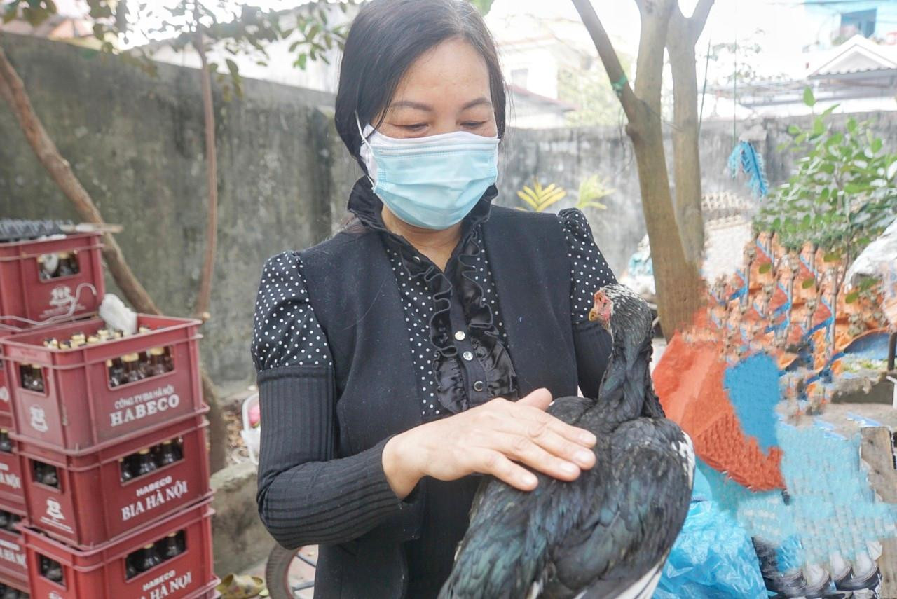 Bà Tâm và con gà gây xôn xao của mình Bà Tâm và con gà gây xôn xao của mình