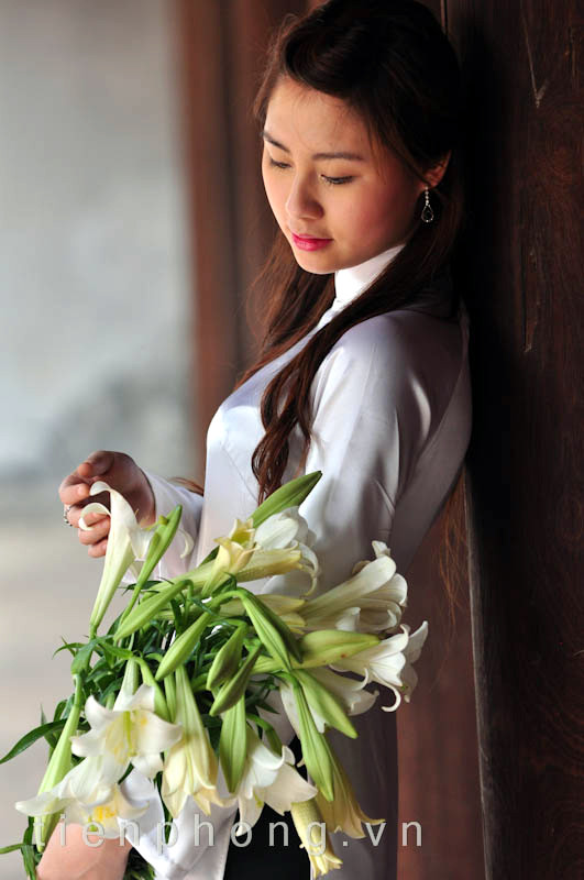 Hoa loa kèn đến nhanh rồi đi cũng rất chóng, để lại trong lòng người những vương vấn khôn nguôi.