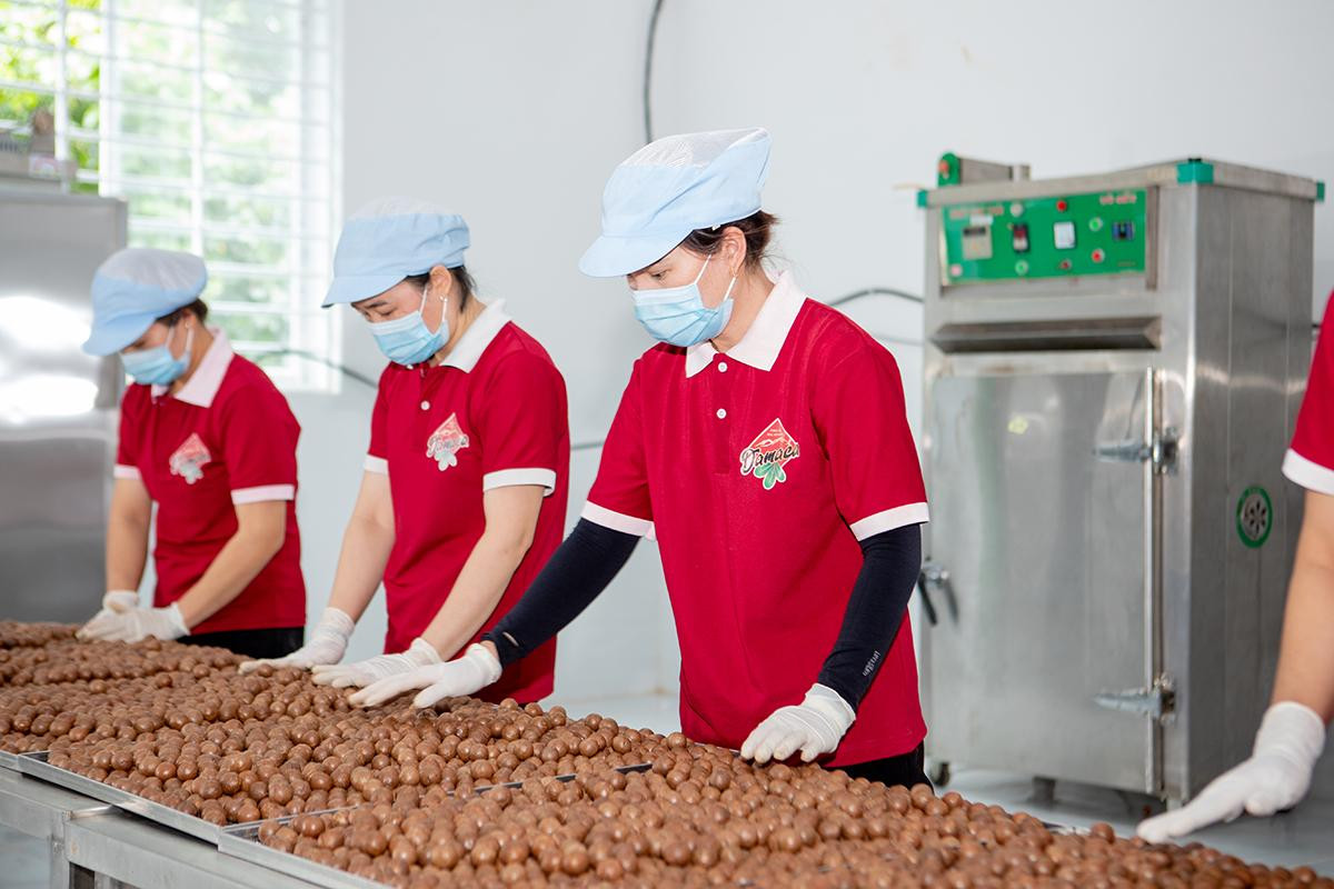 Sản phẩm hạt mắc ca xuất khẩu chính ngạch sang Nhật.