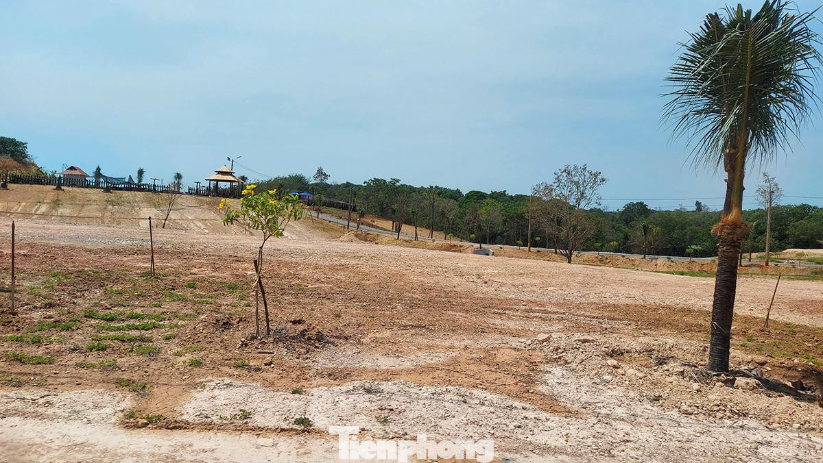 Các lô đất được cắm cọc tách thửa