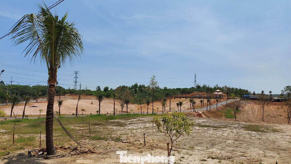 Toàn cảnh lô đất bị hủy hoại đất, tách thành 9 thửa