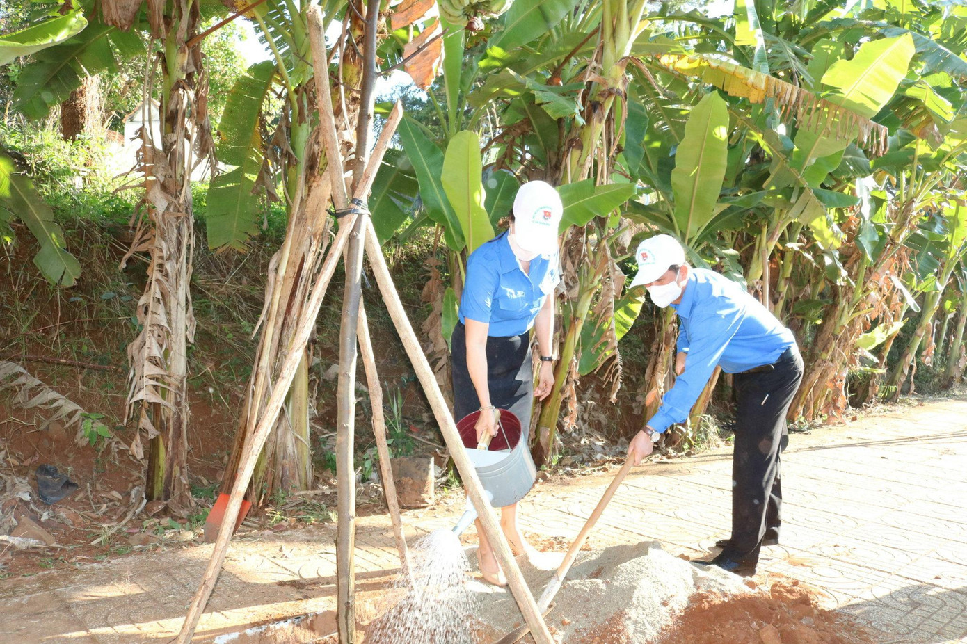 Tỉnh đoàn trồng cây lưu niệm trong ngày ra quân Tỉnh đoàn trồng cây lưu niệm trong ngày ra quân