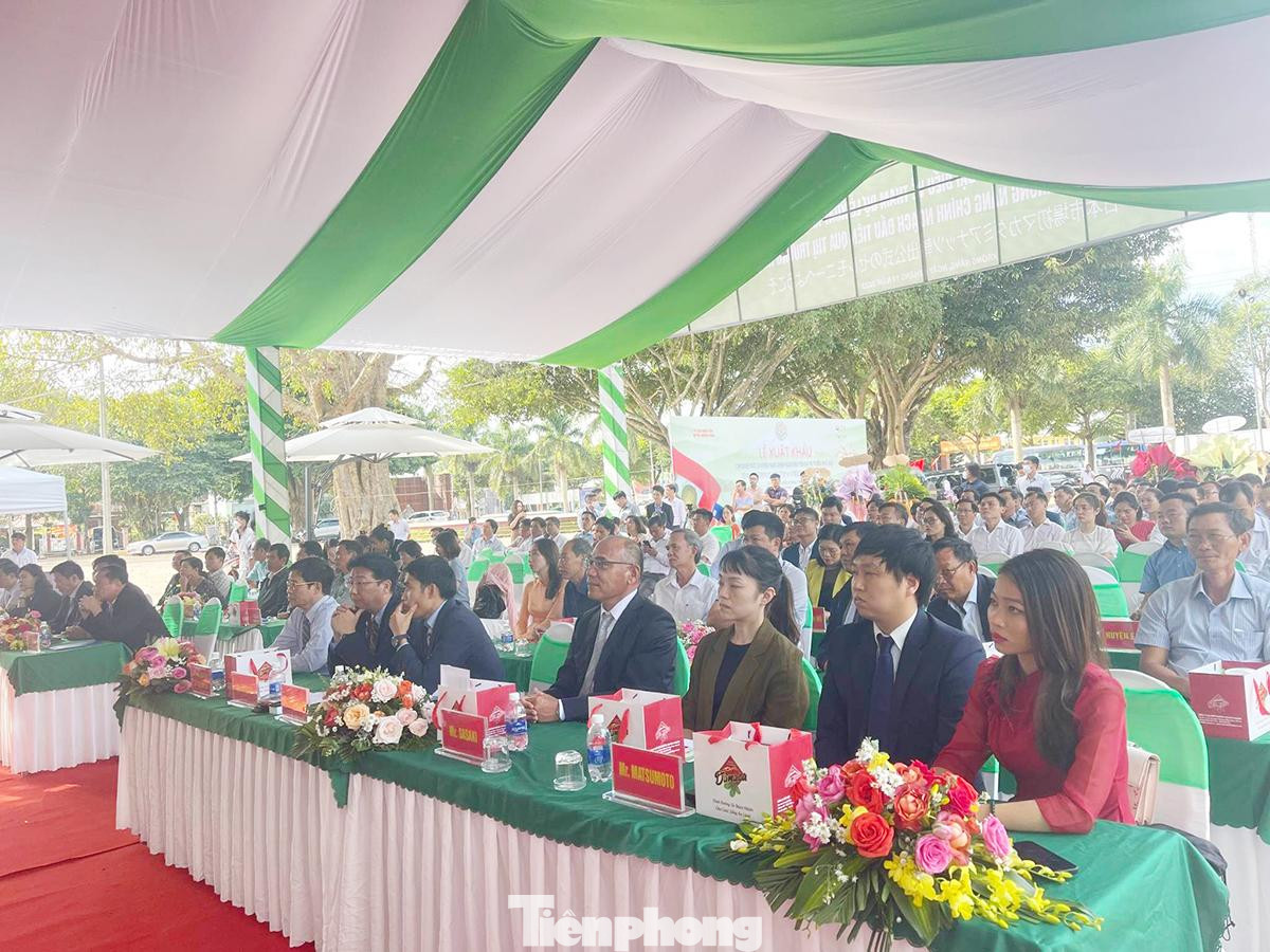 Các đại biểu dự lễ xuất khẩu ngày 9/11.