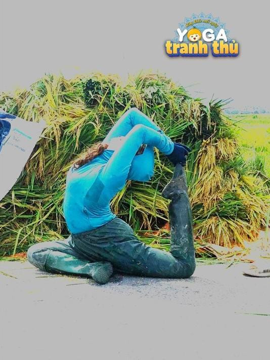 Gặt lúa mỏi lưng, tranh thủ tập ngay tư thế yoga này Gặt lúa mỏi lưng, tranh thủ tập ngay tư thế yoga này