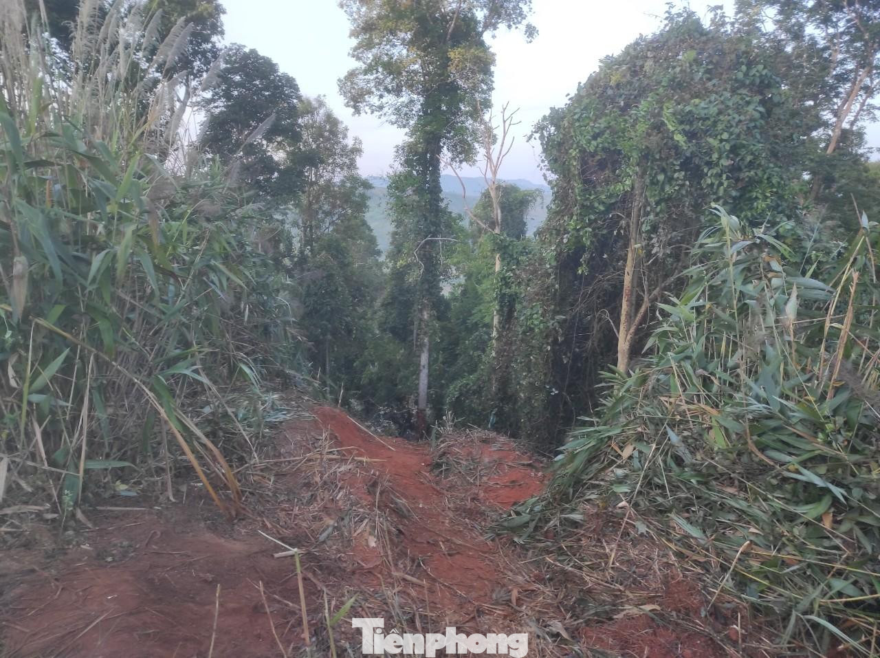 Vụ tai nạn khiến 6 người tử vong tại chỗ