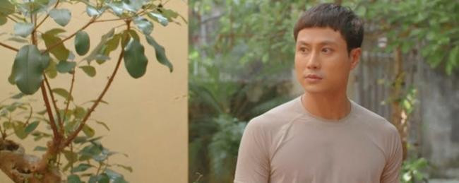 ... hay Đăng sẽ giành được chiến thắng cuối cùng?