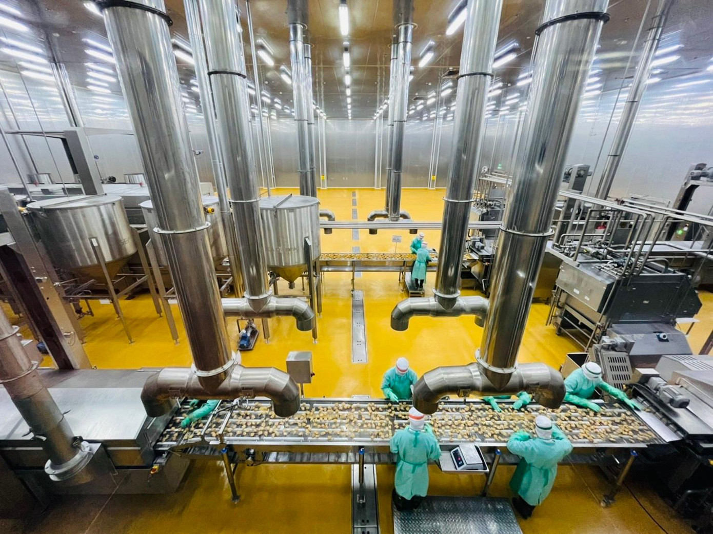 Công ty CP Việt Nam đã đầu tư xây dựng tổ hợp chuỗi sản xuất thịt gà khép kín từ trang trại đến bàn ăn (Feed - Farm - Food). Đây là một trong những chuỗi sản xuất thịt gà hiện đại, lớn nhất ở Việt Nam với giá trị hơn 250 triệu USD, công suất giết mổ 1 triệu con/tuần