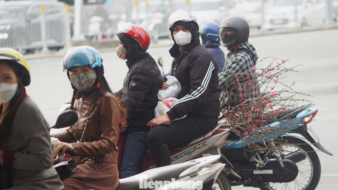 Người dân chở theo cành đào Tết.