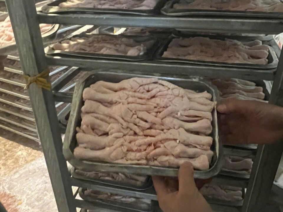 Chân gà được bảo quản tại cơ sở kinh doanh hàng đông lạnh. Chân gà được bảo quản tại cơ sở kinh doanh hàng đông lạnh.