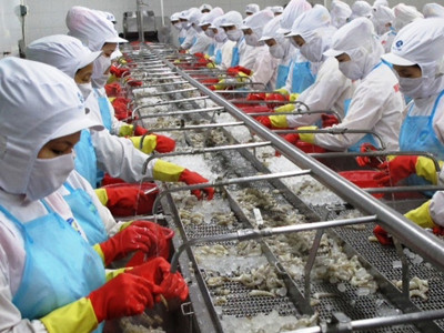 Công nhân Cty Cổ phần Thủy sản Minh Phú dự kiến thưởng Tết một tháng lương và một phần quà. Ảnh: Tiến Hưng. Công nhân Cty Cổ phần Thủy sản Minh Phú dự kiến thưởng Tết một tháng lương và một phần quà. Ảnh: Tiến Hưng