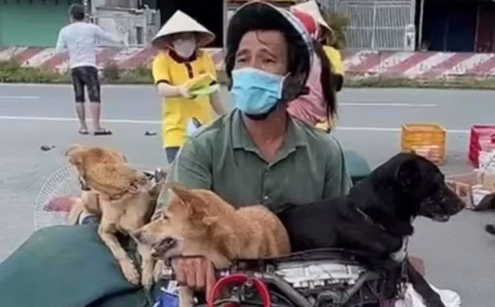 Ông N.D.Kh và bầy chó trên đường hồi hương. Ảnh: Facebook