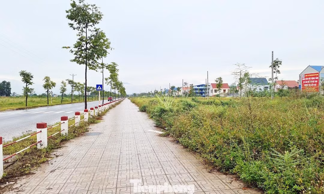 Thị trường đất nền tại đây vốn “sốt nóng” sau phiên đấu giá đất lịch sử vào cuối tháng 6 vừa qua nay bỗng trở nên ảm đạm, rất ít người đến mua bán, giao dịch. Trên thị trường xuất hiện những thông tin rao bán cắt lỗ. Thị trường đất nền tại đây vốn “sốt nóng” sau phiên đấu giá đất lịch sử vào cuối tháng 6 vừa qua nay bỗng trở nên ảm đạm, rất ít người đến mua bán, giao dịch. Trên thị trường xuất hiện những thông tin rao bán cắt lỗ.