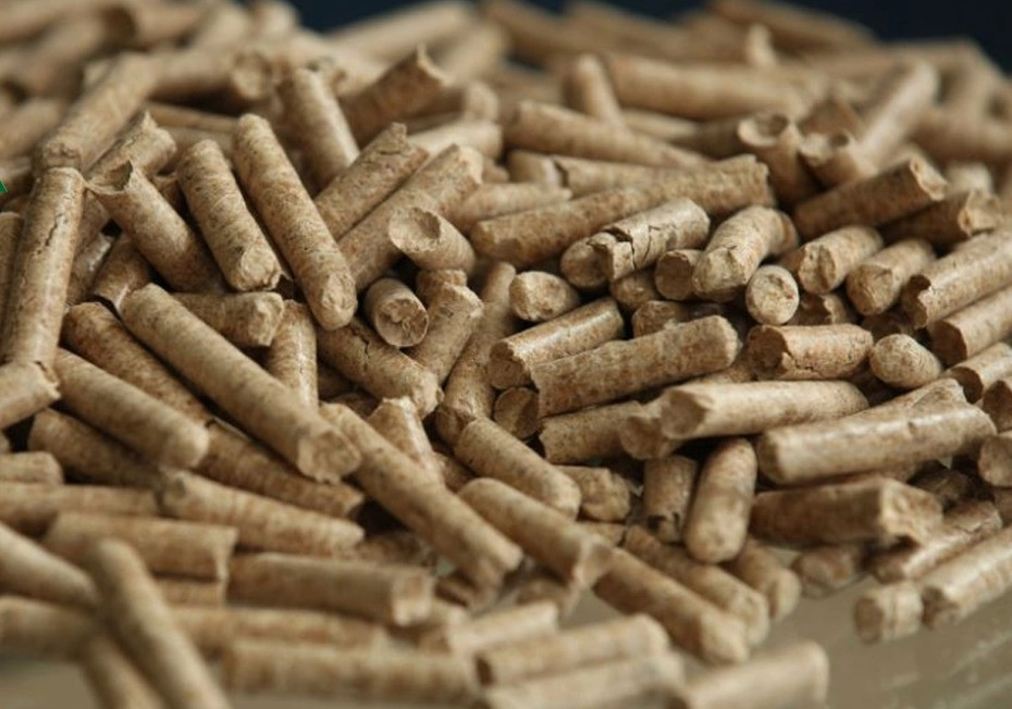 Xuất khẩu dăm gỗ và viên nén gỗ đạt gần 2 tỷ USD trong 7 tháng năm 2024. Ảnh minh họa: Kim Trường Phúc. Xuất khẩu dăm gỗ và viên nén gỗ đạt gần 2 tỷ USD trong 7 tháng năm 2024. Ảnh minh họa: Kim Trường Phúc.