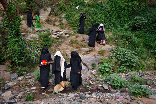 Cảnh đưa dâu trong rừng