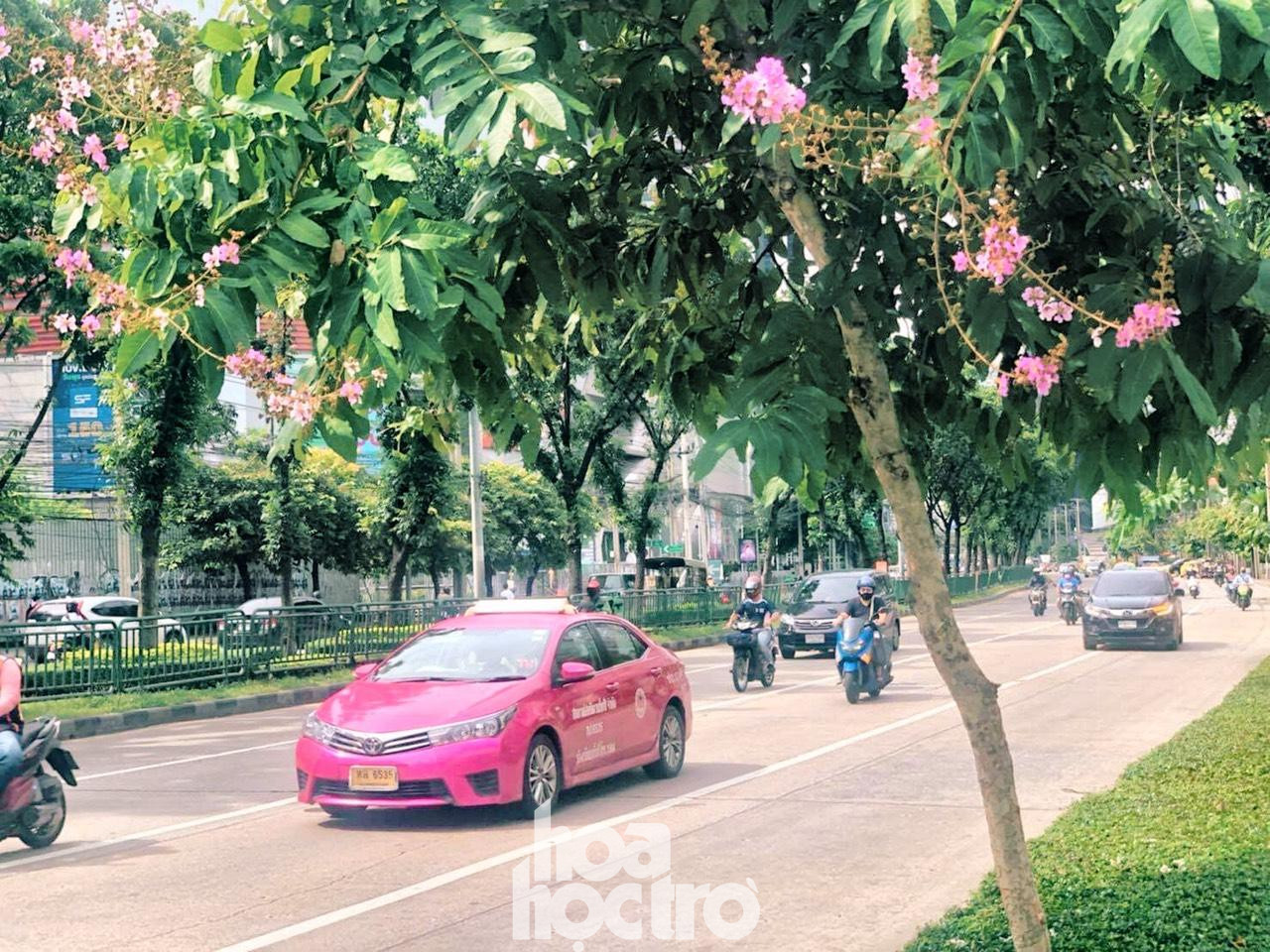 Đường phố Bangkok đã nhộn nhịp hơn nhưng không xảy ra tình trạng tắc đường.