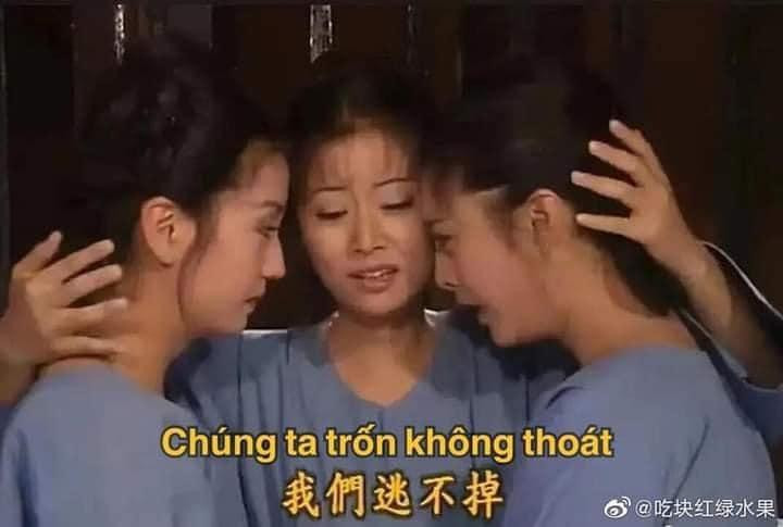 Bộ ba diễn viên nữ trong "Hoàn Châu Cách Cách" từ trái sang - Triệu Vy - Lâm Tâm Như - Phạm Băng Băng đều gặp những khủng hoảng trong sự nghiệp. Ảnh: Phân cảnh trong phim "Hoàn Châu Cách Cách"/ Weibo Bộ ba diễn viên nữ trong "Hoàn Châu Cách Cách" từ trái sang - Triệu Vy - Lâm Tâm Như - Phạm Băng Băng đều gặp những khủng hoảng trong sự nghiệp. Ảnh: Phân cảnh trong phim "Hoàn Châu Cách Cách"/ Weibo