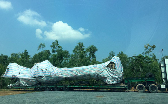 Bắt giữ xe chở cây đa 'khủng' từ Quảng Ngãi ra Hà Nội ảnh 1