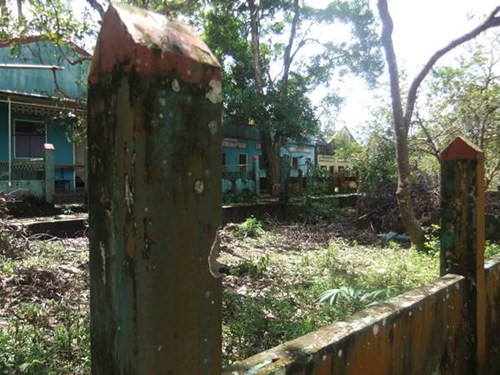 Bí ẩn đại gia vung chục tỷ xây biệt thự cho chó ảnh 2