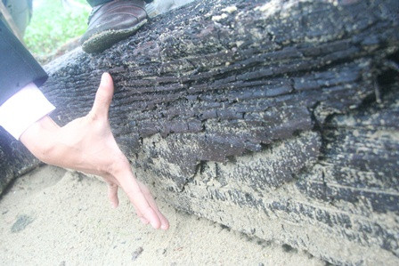 Phát hiện mỏ neo khổng lồ bằng gỗ dưới đáy biển ảnh 3