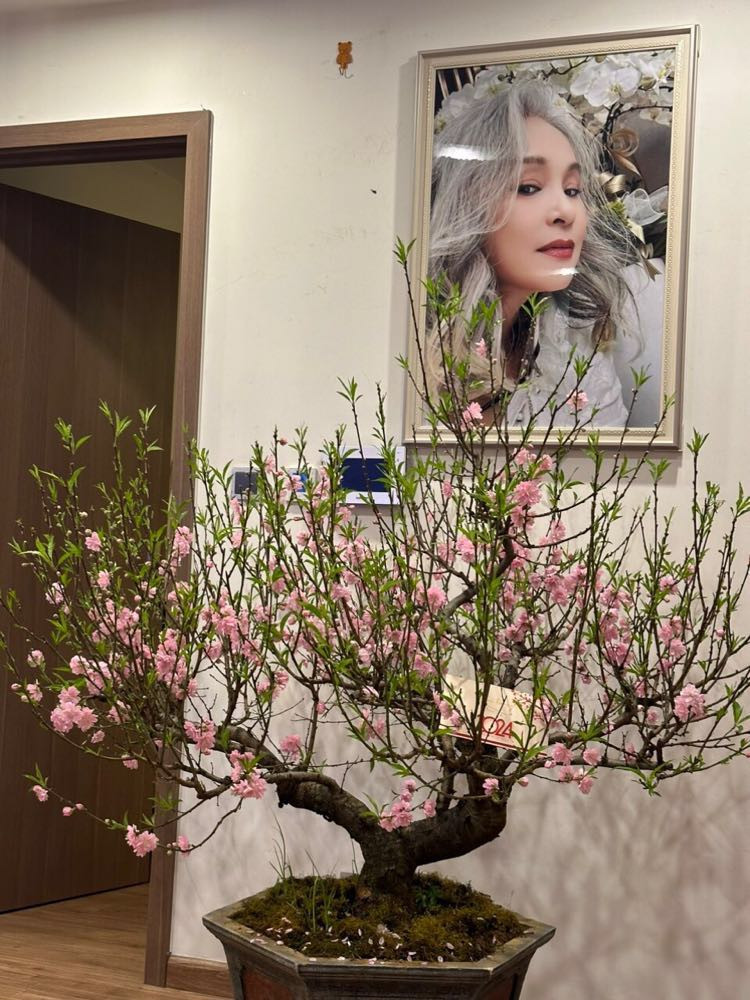 Những bức chân dung của chị luôn hút mọi ánh nhìn.