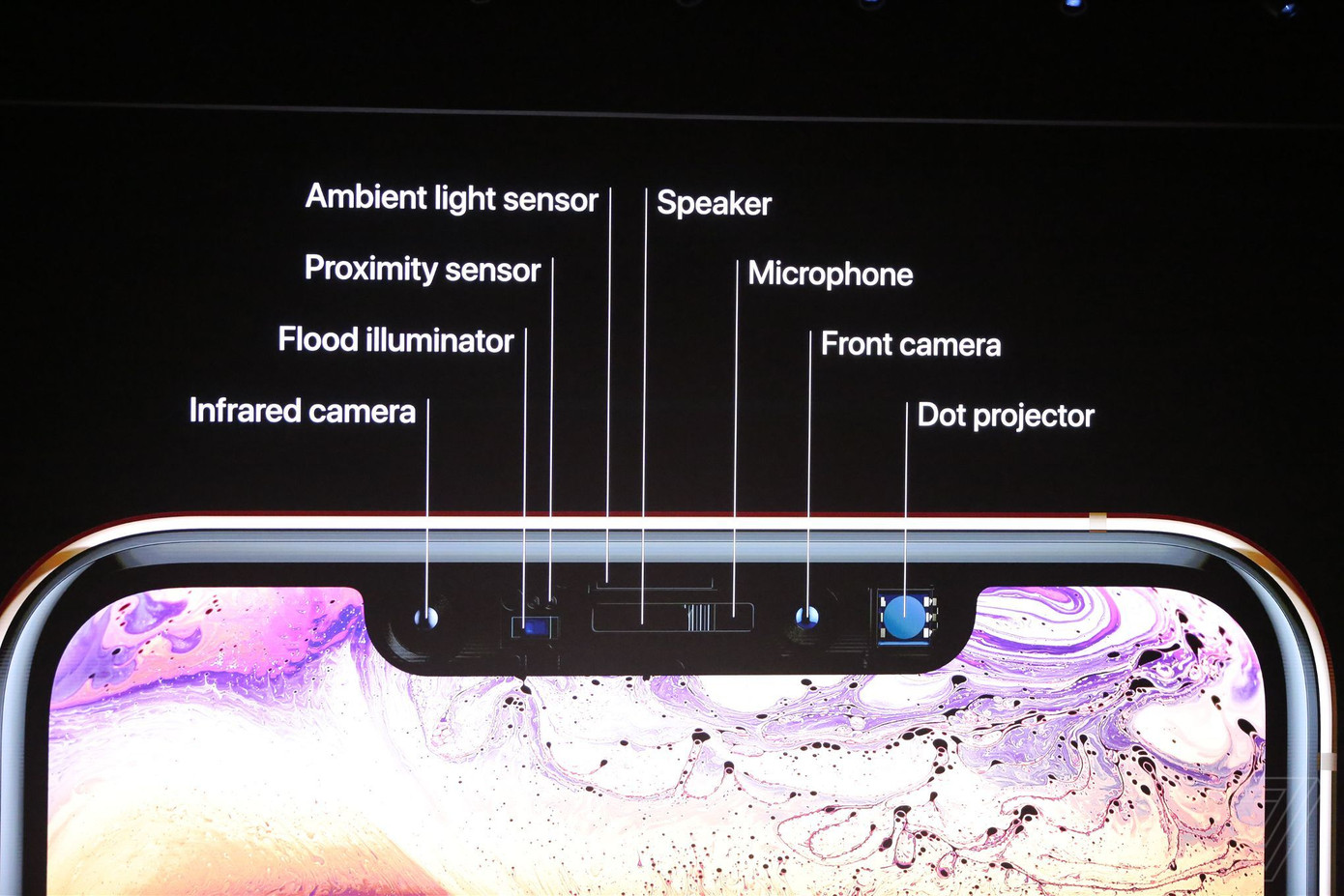 Apple trình làng iPhone Xs, Xs Max hỗ trợ hai sim và iPhone Xr ảnh 37