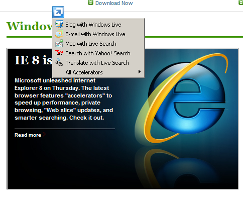IE 8.0