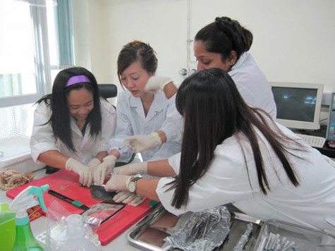 PGS Nguyễn Khánh Diệu Hồng làm việc cùng các đồng nghiệp nước ngoài