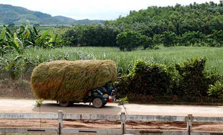 Chở nguyên liệu sạch chế biến thức ăn