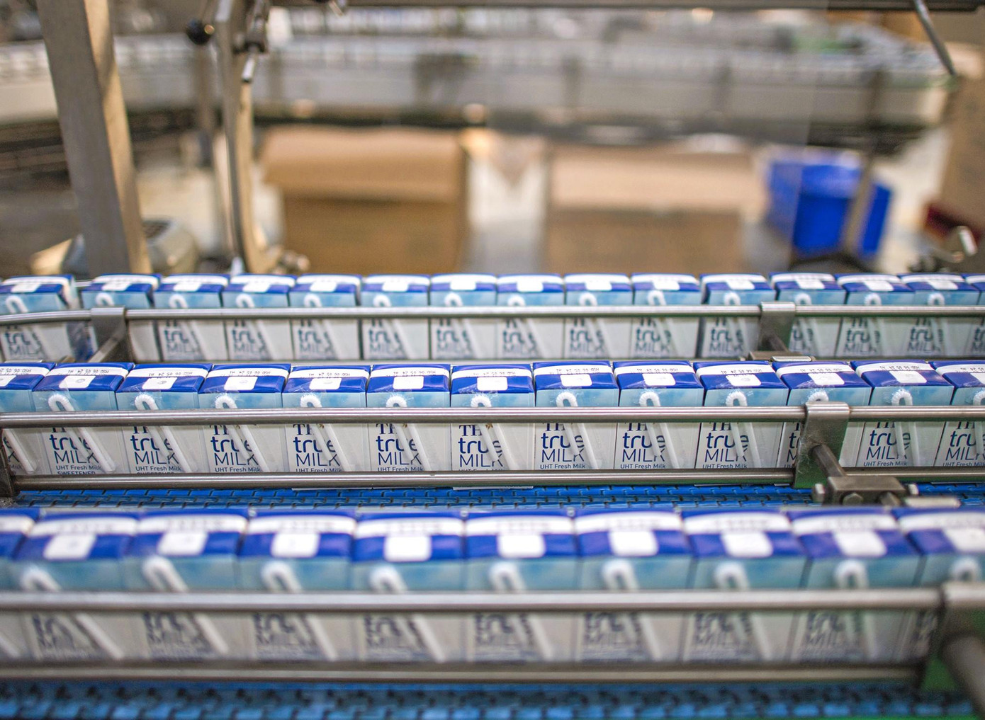 Chất lượng sữa tươi sạch của TH true MILK đang ngang bằng với các quốc gia có nền chăn nuôi phát triển như New Zealand, Canada, Mỹ hay Châu Âu