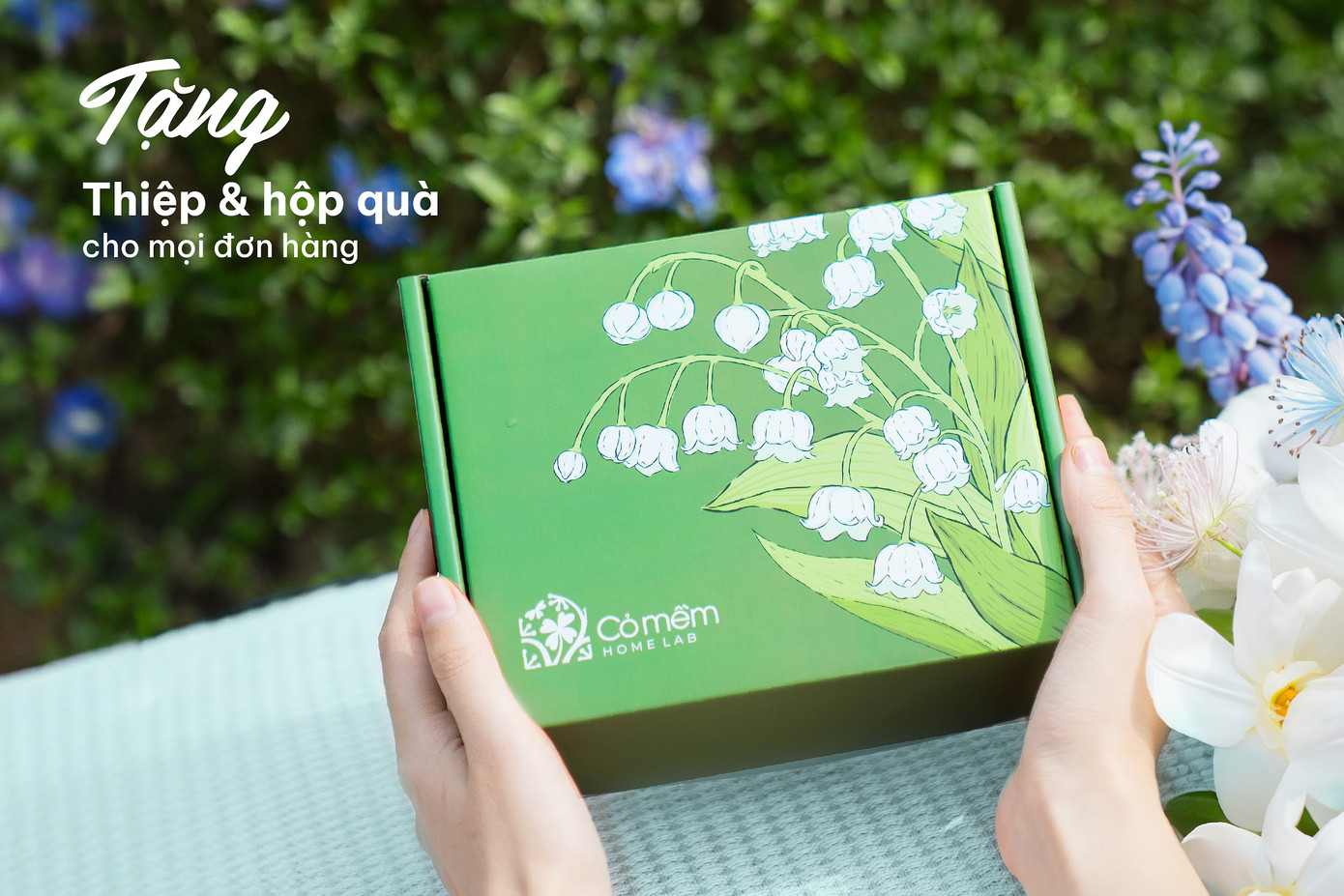 Cỏ Mềm gửi tặng thiệp, hộp quà và túi đựng trang trọng